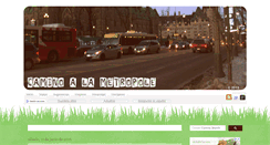 Desktop Screenshot of caminoalametropole.com